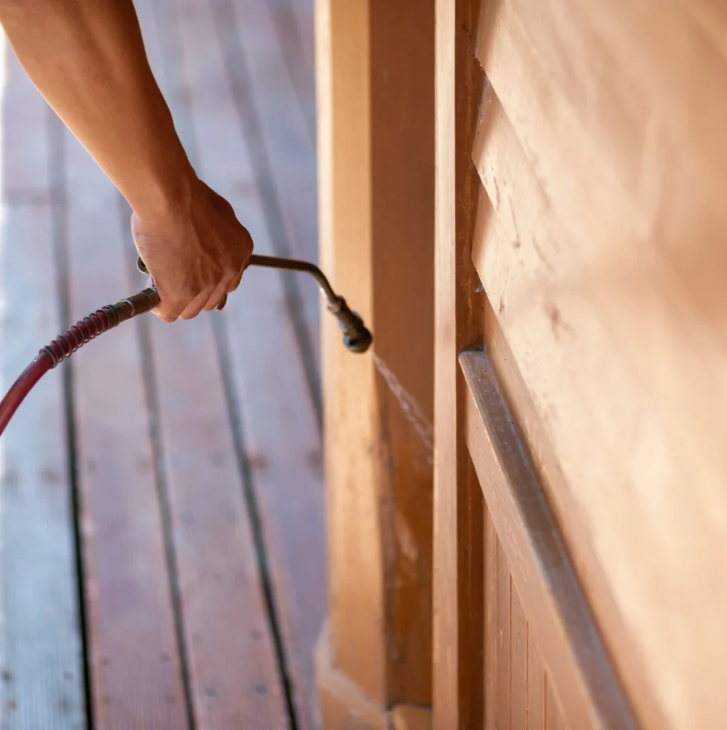Trusted Pest Control - Maplewood Pest Control Pros | Maplewood, NJ | 862-429-3113